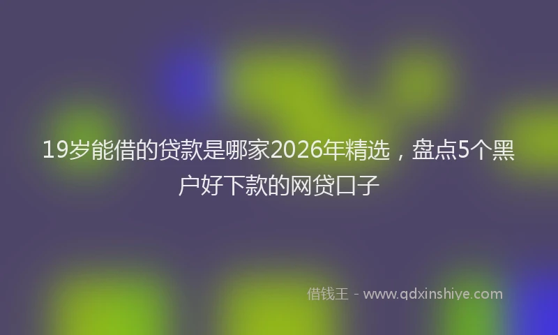 19岁能借的贷款是哪家2026年精选,盘点5个黑户好下款的网贷口子