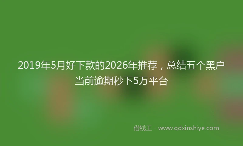 2019年5月好下款的2026年推荐,总结五个黑户当前逾期秒下5万平台