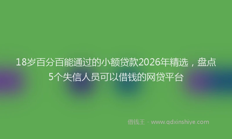 18岁百分百能通过的小额贷款2026年精选,盘点5个失信人员可以借钱的网贷平台