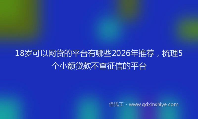 18岁可以网贷的平台有哪些2026年推荐，梳理5个小额贷款不查征信的平台