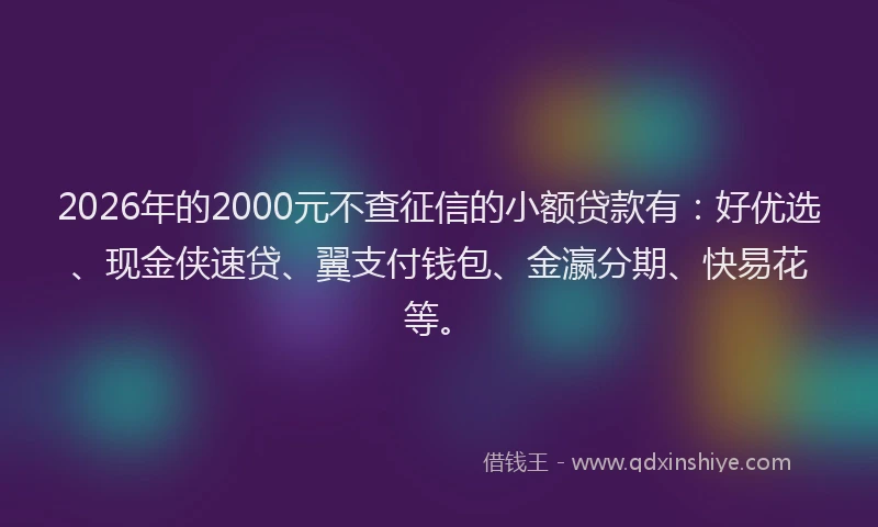2026年的2000元不查征信的小额贷款有：好优选、现金侠速贷、翼支付钱包、金瀛分期、快易花等。