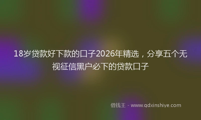 18岁贷款好下款的口子2026年精选,分享五个无视征信黑户必下的贷款口子