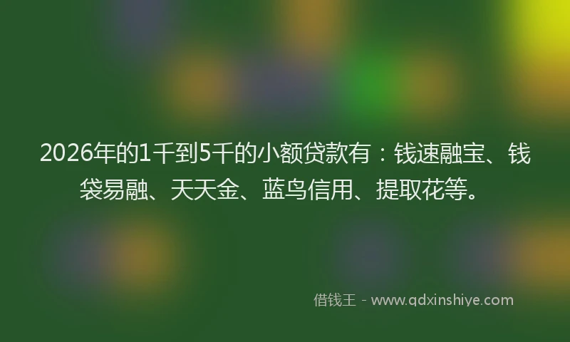 2026年的1千到5千的小额贷款有：钱速融宝、钱袋易融、天天金、蓝鸟信用、提取花等。