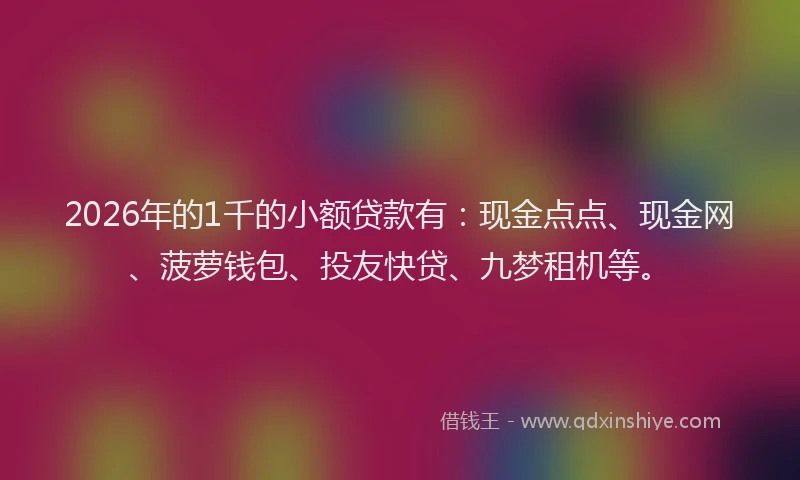 2026年的1千的小额贷款有:现金点点、现金网、菠萝钱包、投友快贷、九梦租机等。