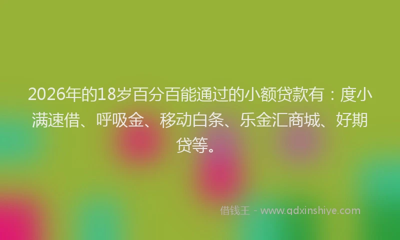 2026年的18岁百分百能通过的小额贷款有：度小满速借、呼吸金、移动白条、乐金汇商城、好期贷等。