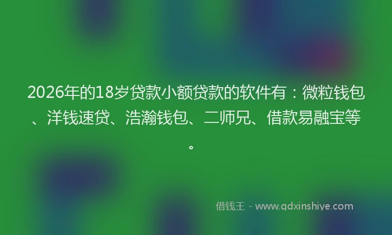 2026年的18岁贷款小额贷款的软件有:微粒钱包、洋钱速贷、浩瀚钱包、二师兄、借款易融宝等。