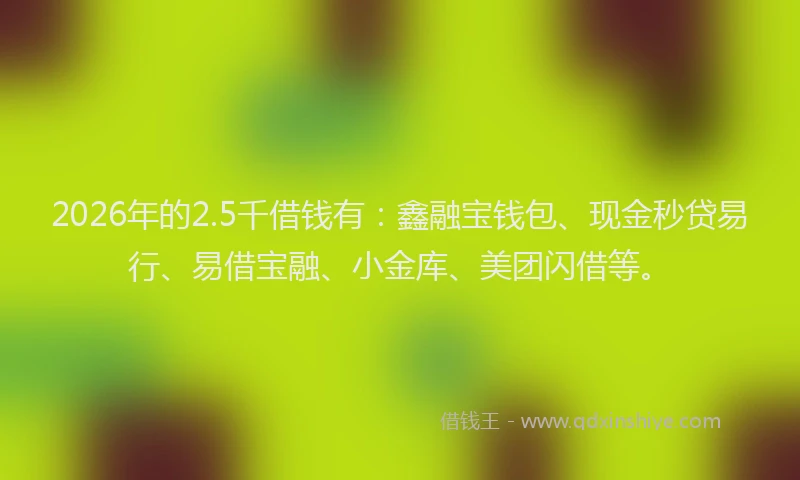 2026年的2.5千借钱有:鑫融宝钱包、现金秒贷易行、易借宝融、小金库、美团闪借等。