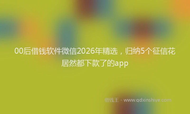 00后借钱软件微信2026年精选,归纳5个征信花居然都下款了的app