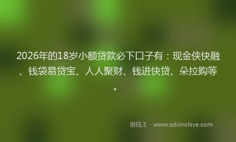 2026年的18岁小额贷款必下口子有：现金侠快融、钱袋易贷宝、人人聚财、钱进快贷、朵拉购等。