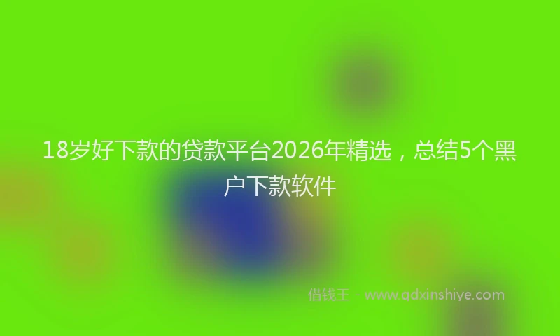 18岁好下款的贷款平台2026年精选，总结5个黑户下款软件