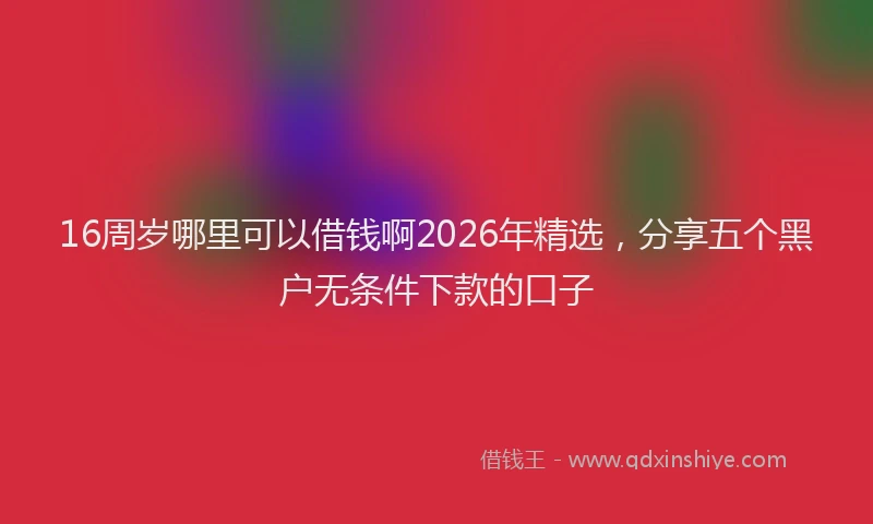 16周岁哪里可以借钱啊2026年精选，分享五个黑户无条件下款的口子