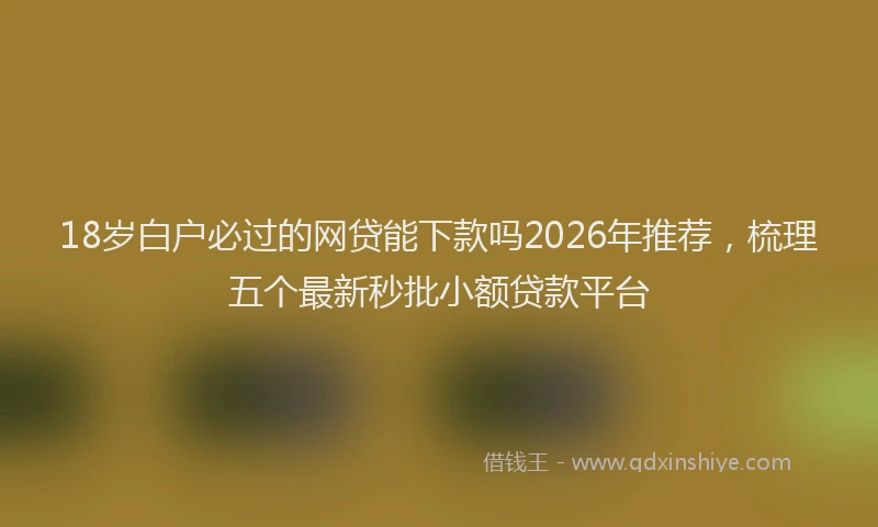 18岁白户必过的网贷能下款吗2026年推荐,梳理五个最新秒批小额贷款平台