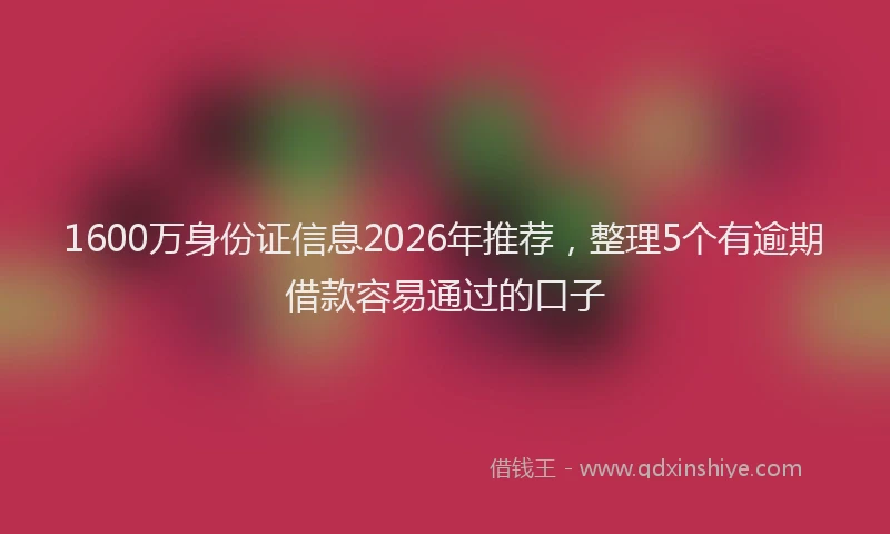 1600万身份证信息2026年推荐,整理5个有逾期借款容易通过的口子