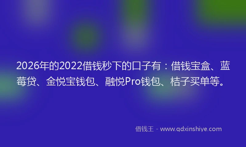 2026年的2022借钱秒下的口子有:借钱宝盒、蓝莓贷、金悦宝钱包、融悦Pro钱包、桔子买单等。