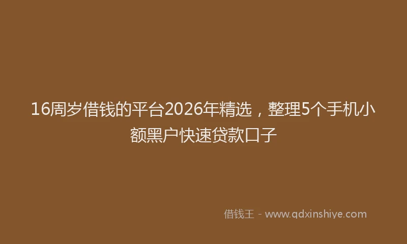 16周岁借钱的平台2026年精选，整理5个手机小额黑户快速贷款口子