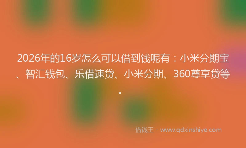 2026年的16岁怎么可以借到钱呢有:小米分期宝、智汇钱包、乐借速贷、小米分期、360尊享贷等。