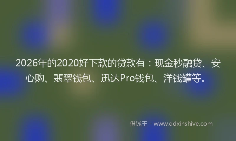 2026年的2020好下款的贷款有：现金秒融贷、安心购、翡翠钱包、迅达Pro钱包、洋钱罐等。