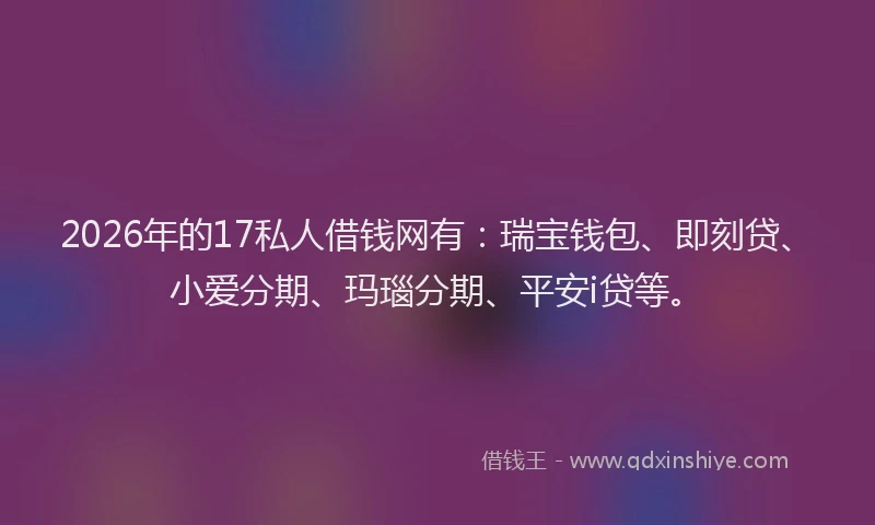 2026年的17私人借钱网有：瑞宝钱包、即刻贷、小爱分期、玛瑙分期、平安i贷等。