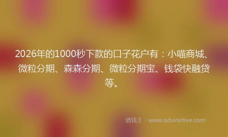 2026年的1000秒下款的口子花户有：小喵商城、微粒分期、森森分期、微粒分期宝、钱袋快融贷等。