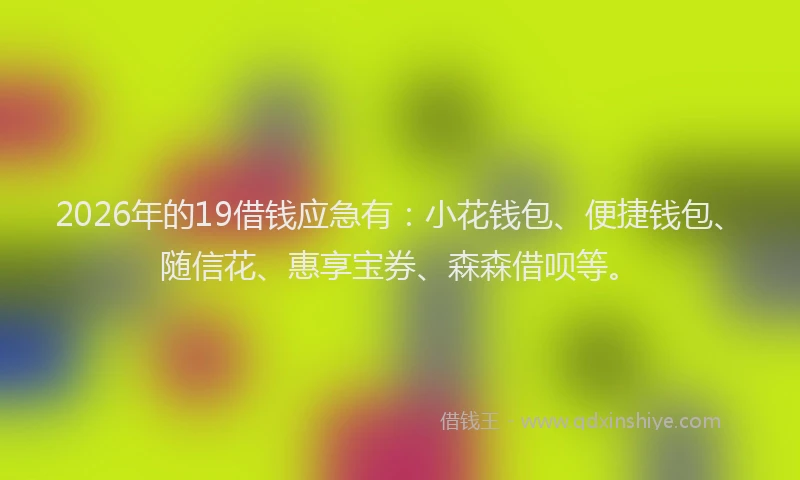 2026年的19借钱应急有：小花钱包、便捷钱包、随信花、惠享宝券、森森借呗等。