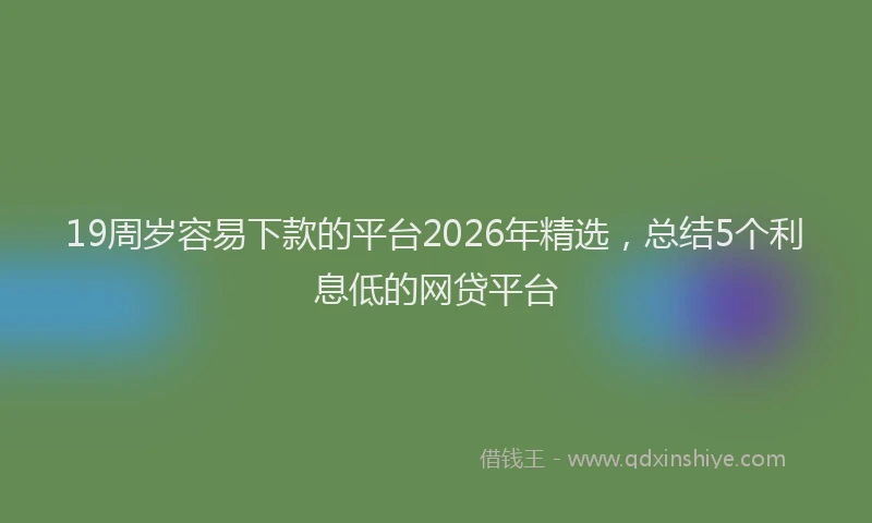19周岁容易下款的平台2026年精选,总结5个利息低的网贷平台