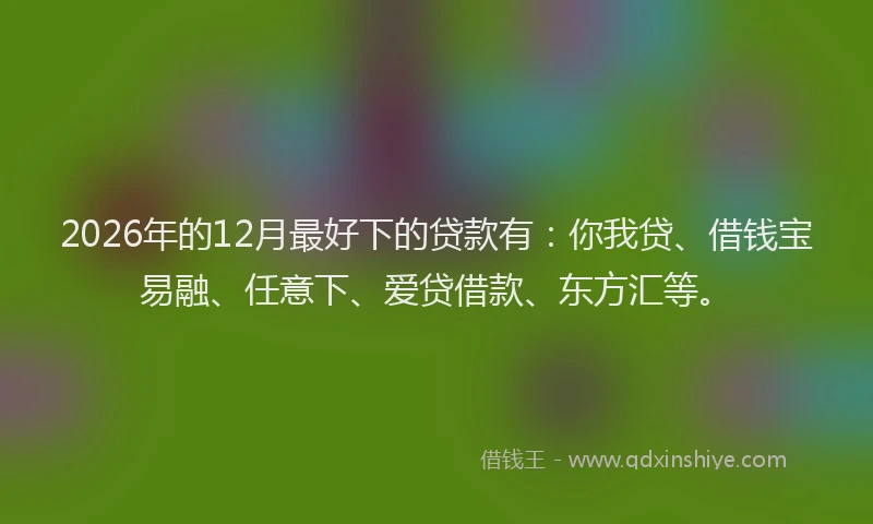 2026年的12月最好下的贷款有：你我贷、借钱宝易融、任意下、爱贷借款、东方汇等。
