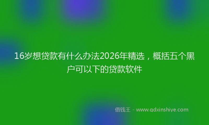 16岁想贷款有什么办法2026年精选，概括五个黑户可以下的贷款软件
