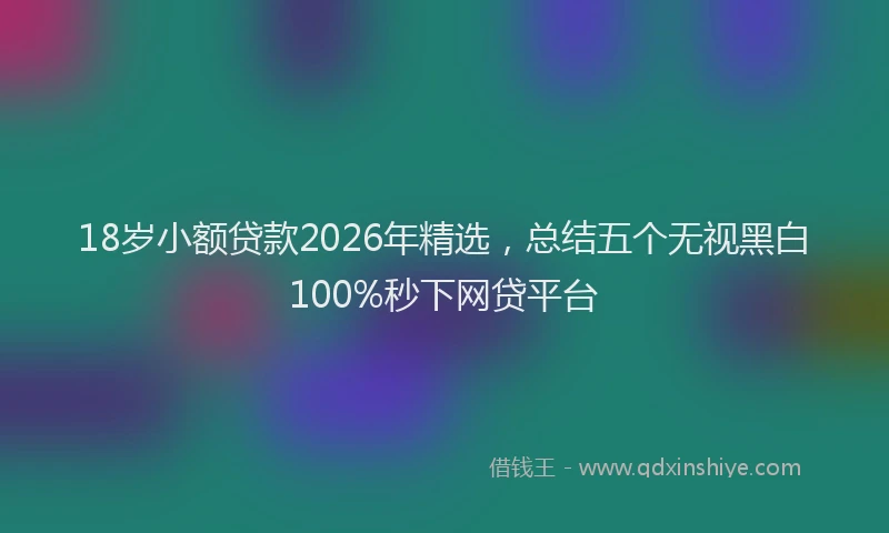 18岁小额贷款2026年精选，总结五个无视黑白100%秒下网贷平台