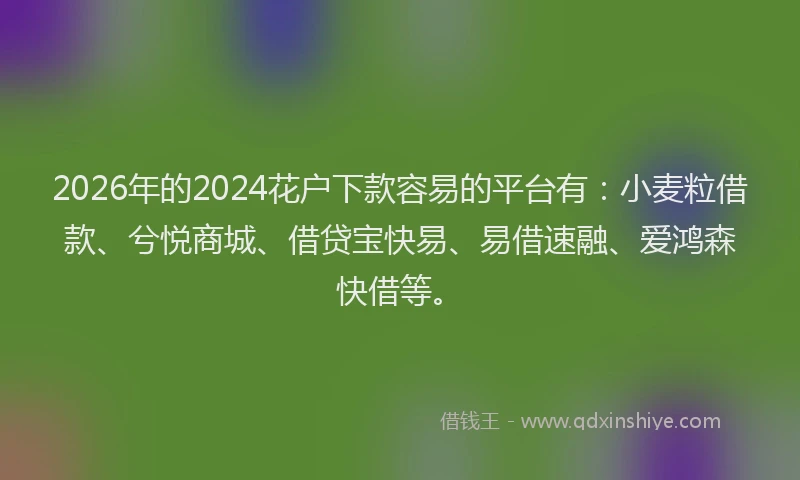 2026年的2024花户下款容易的平台有:小麦粒借款、兮悦商城、借贷宝快易、易借速融、爱鸿森快借等。