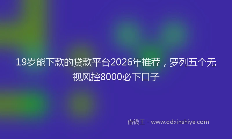 19岁能下款的贷款平台2026年推荐,罗列五个无视风控8000必下口子