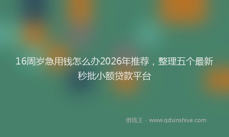 16周岁急用钱怎么办2026年推荐，整理五个最新秒批小额贷款平台