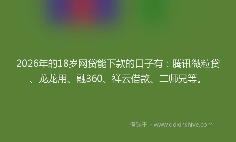 2026年的18岁网贷能下款的口子有:腾讯微粒贷、龙龙用、融360、祥云借款、二师兄等。