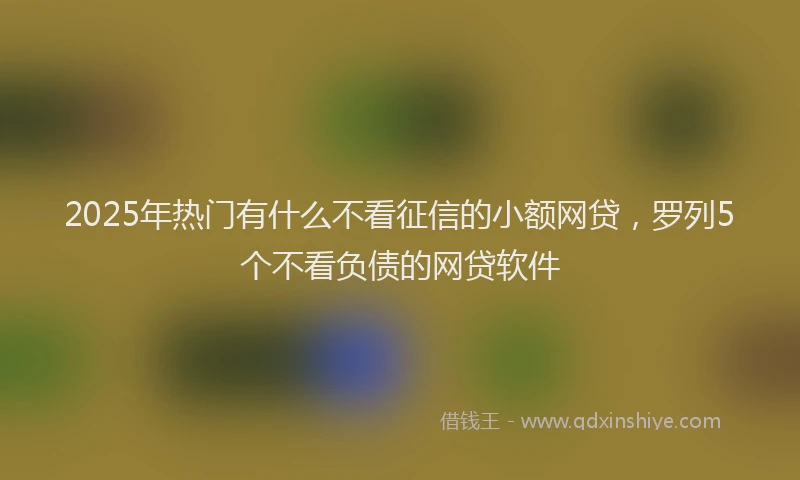 2025年热门有什么不看征信的小额网贷，罗列5个不看负债的网贷软件