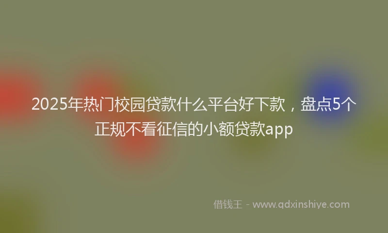 2025年热门校园贷款什么平台好下款，盘点5个正规不看征信的小额贷款app