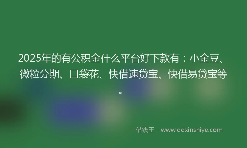 2025年的有公积金什么平台好下款有：小金豆、微粒分期、口袋花、快借速贷宝、快借易贷宝等。