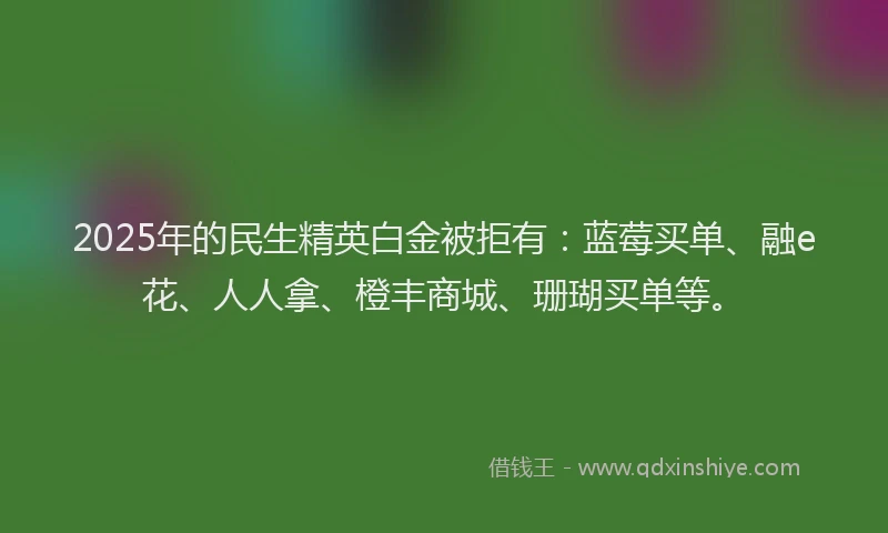 2025年的民生精英白金被拒有:蓝莓买单、融e花、人人拿、橙丰商城、珊瑚买单等。