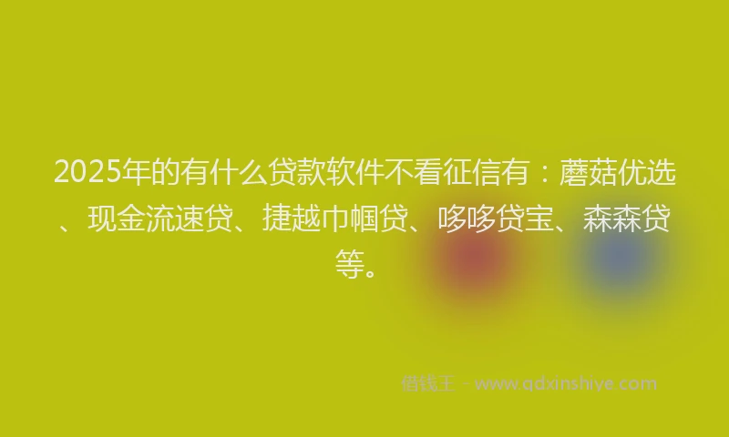 2025年的有什么贷款软件不看征信有：蘑菇优选、现金流速贷、捷越巾帼贷、哆哆贷宝、森森贷等。