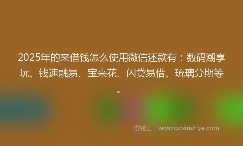 2025年的来借钱怎么使用微信还款有：数码潮享玩、钱速融易、宝来花、闪贷易借、琉璃分期等。