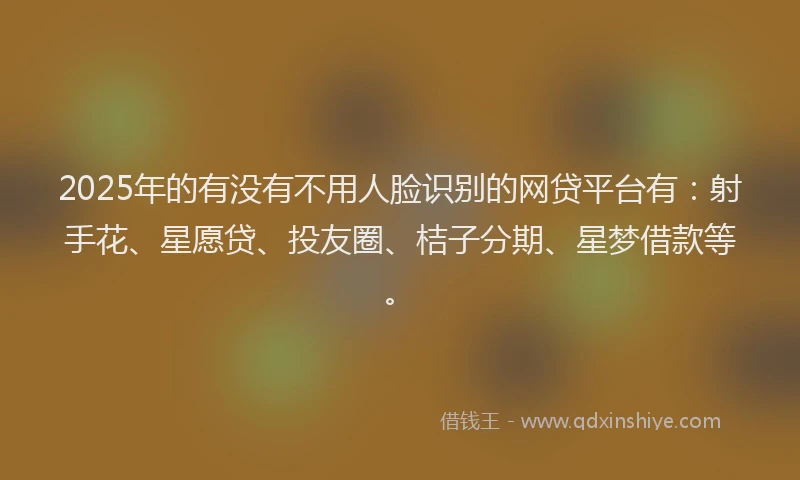 2025年的有没有不用人脸识别的网贷平台有：射手花、星愿贷、投友圈、桔子分期、星梦借款等。