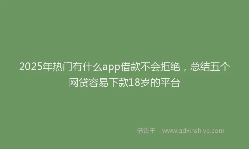 2025年热门有什么app借款不会拒绝，总结五个网贷容易下款18岁的平台