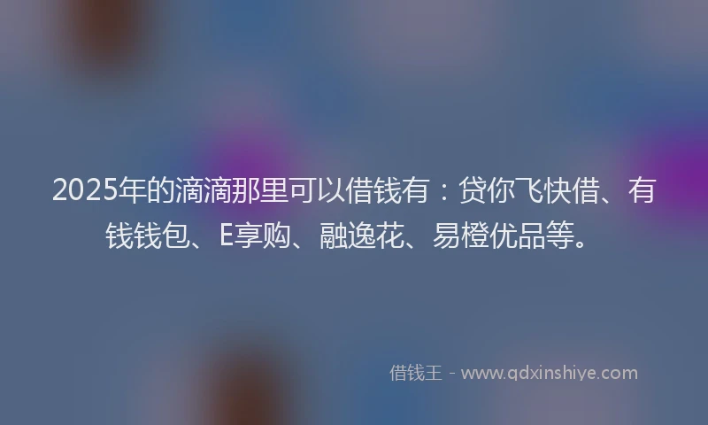 2025年的滴滴那里可以借钱有：贷你飞快借、有钱钱包、E享购、融逸花、易橙优品等。