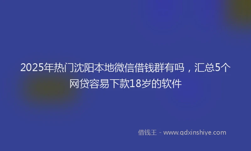 2025年热门沈阳本地微信借钱群有吗，汇总5个网贷容易下款18岁的软件