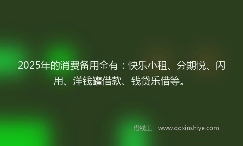 2025年的消费备用金有：快乐小租、分期悦、闪用、洋钱罐借款、钱贷乐借等。