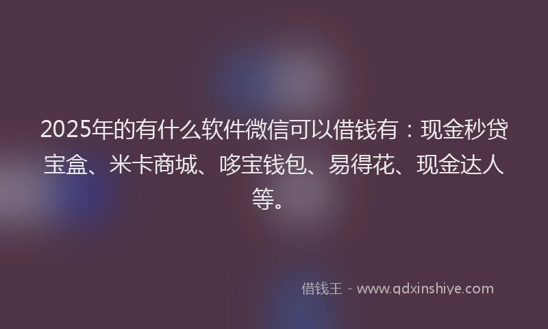 2025年的有什么软件微信可以借钱有：现金秒贷宝盒、米卡商城、哆宝钱包、易得花、现金达人等。