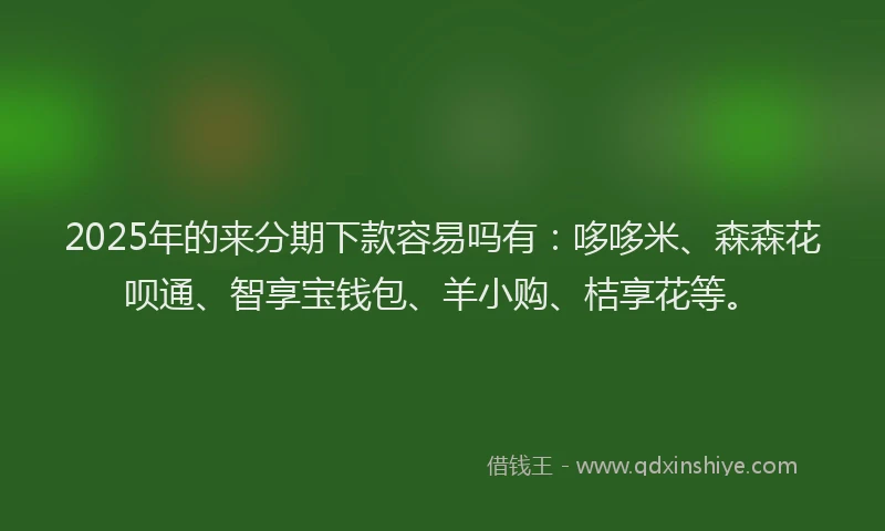 2025年的来分期下款容易吗有:哆哆米、森森花呗通、智享宝钱包、羊小购、桔享花等。