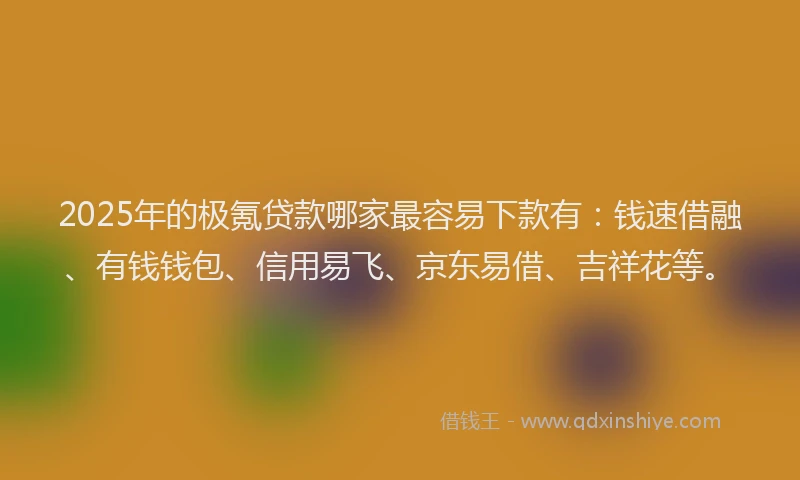 2025年的极氪贷款哪家最容易下款有:钱速借融、有钱钱包、信用易飞、京东易借、吉祥花等。
