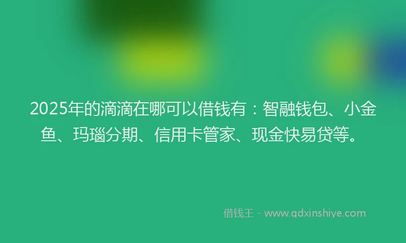2025年的滴滴在哪可以借钱有：智融钱包、小金鱼、玛瑙分期、信用卡管家、现金快易贷等。