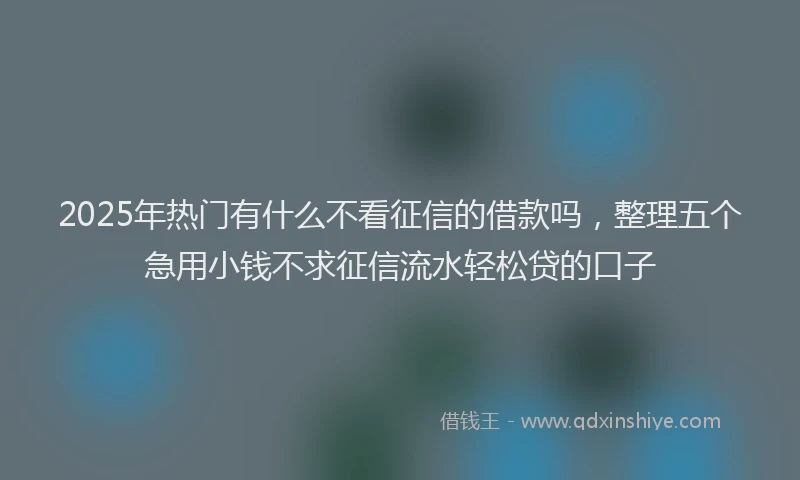 2025年热门有什么不看征信的借款吗，整理五个急用小钱不求征信流水轻松贷的口子
