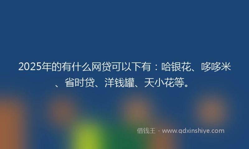 2025年的有什么网贷可以下有：哈银花、哆哆米、省时贷、洋钱罐、天小花等。