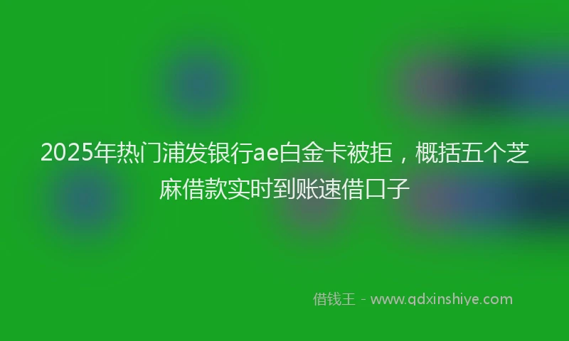 2025年热门浦发银行ae白金卡被拒，概括五个芝麻借款实时到账速借口子